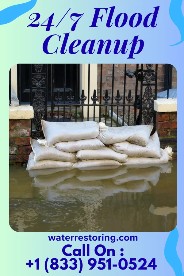 24/7 Flood Cleanup in Shallow Water, KS
