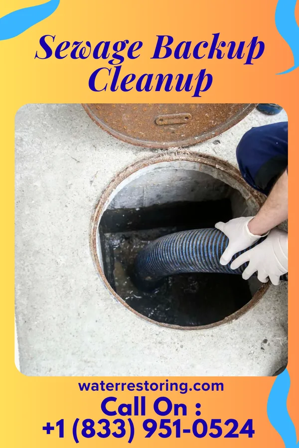 Sewage Backup Cleanup in Shallow Water, KS